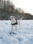 SAM_0804.jpg