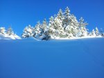 20121212_105749.jpg