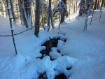 20121212_111118.jpg