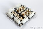 dsc_5562mlrkc.jpg
