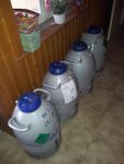 IMG_20121214_143952.jpg