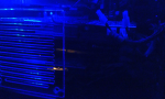 ForumRunner_20121215_132543.png