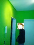 2012-11-02 17.37.30.jpg
