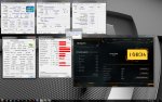 Tiger11111111111111111111.jpg
