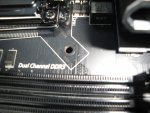 DSC01228.jpg