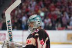 hannoverscorpions-adlermannheim_231212_dr (6).JPG