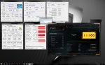 xTiger13.jpg