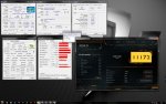 xTiger20.jpg