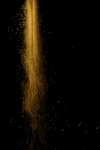 DSC00460.png