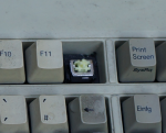 DSC01174a.png