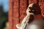 IMG_0749.jpg