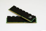 Ram.jpg