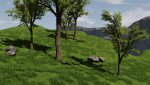 foliage_grass_udk_002v0z0n.jpg