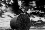 strohballen_black.jpg
