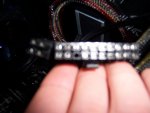 100_0302.JPG