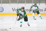 EHC_Wolfsburg_vs_CRE_Salzgitter_Icefighters-21.jpg
