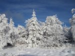 IMG_2005.JPG