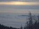 IMG_2026.JPG