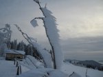 IMG_2037.JPG