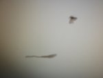 DSCF3517.JPG