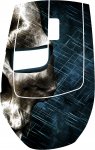 Skull-blue.jpg