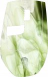 test_8.jpg