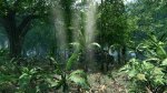 Crysis 2011-02-25 19-02-39-90.jpg