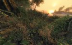 Crysis 2011-02-25 21-32-15-54.jpg
