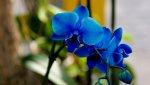 IMGP3371.jpg