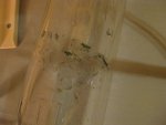 k-IMG_1962.JPG