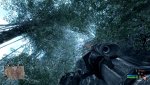 Crysis 2011-02-27 12-34-32-14.jpg
