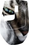 UPLOAD9.jpg