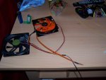 100_3494.JPG