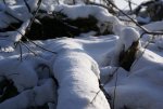 DSC05076_900.jpg