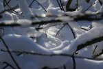 DSC05083_900.jpg