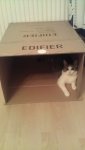Edifier C3.jpg