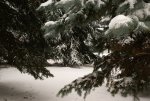 DSC05154_900.jpg