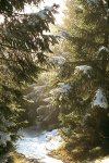 IMG0091.jpg
