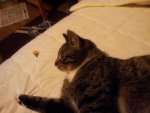 2012-06-21 22.28.35.jpg