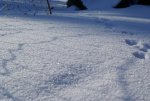 DSC05205_900.jpg