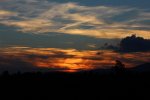 IMG_1005.JPG