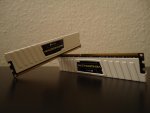 DSC06528.jpg