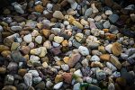 _DSC1680.jpg