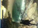 ForumRunner_20130209_122043.png