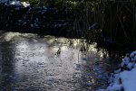 DSC05264_900.jpg