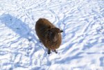 DSC05113.jpg