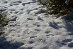 DSC05095.jpg