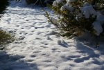 DSC05096.jpg