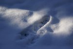 DSC05100.jpg
