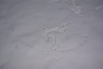 DSC05150.jpg